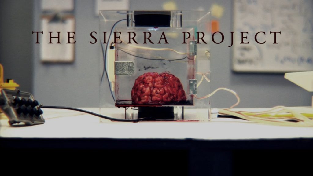 The Sierra Project